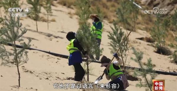 “春有花、夏有荫、秋有彩、冬有绿” 西藏规模最大造林工程方兴未艾 “春有花、夏有荫、秋有彩、冬有绿” 西藏规模最大造林工程方兴未艾