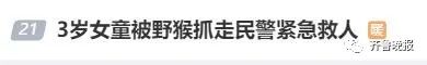 冲上热搜！3岁女孩被野猴抓走……