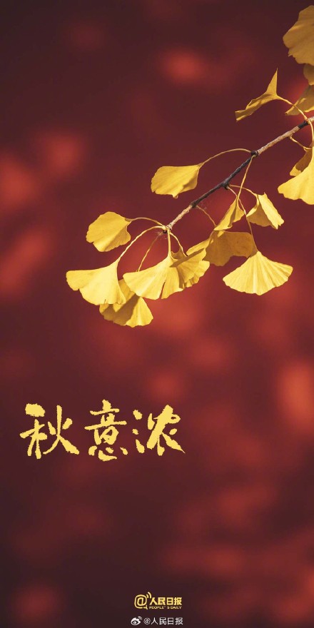收藏秋日治愈系壁纸，愿你收获满满、好运多多