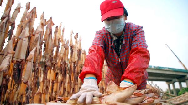 日照岚山:海货晾晒好时光 日照岚山:海货晾晒好时光
