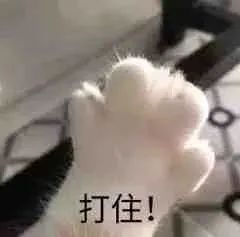 百余名老人超700万元的养老钱被骗!竟是为了预定养老公寓床位…… 百余名老人超700万元的养老钱被骗!竟是为了预定养老公寓床位……