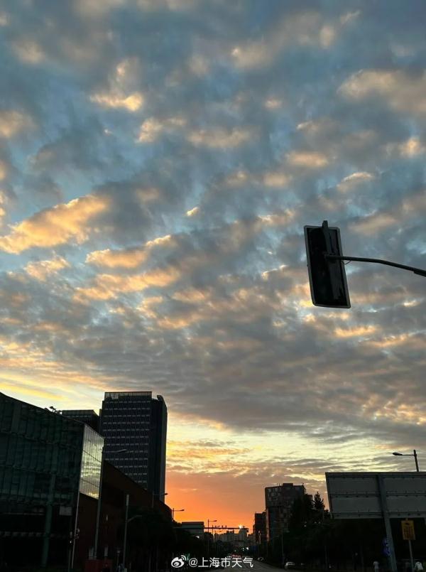上海今天的橙色晚霞你拍到了吗？冷空气“摆烂”，回暖战线继续拉长，直到…