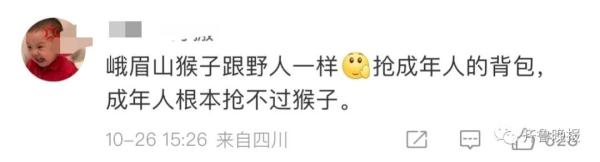 冲上热搜!猴子“绑架”3岁女童 冲上热搜!猴子“绑架”3岁女童