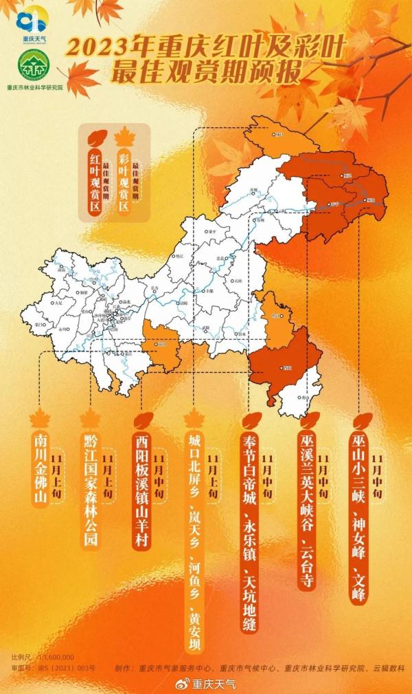 重庆红叶彩叶最佳观赏期预报来了→