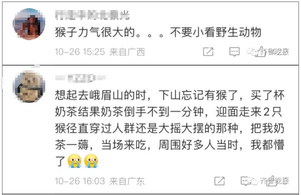 冲上热搜!猴子“绑架”3岁女童 冲上热搜!猴子“绑架”3岁女童