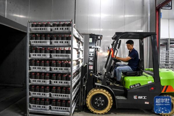 广西贵港：发展食用菌产业助农增收