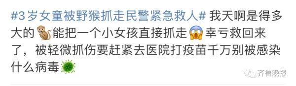 冲上热搜!猴子“绑架”3岁女童 冲上热搜!猴子“绑架”3岁女童