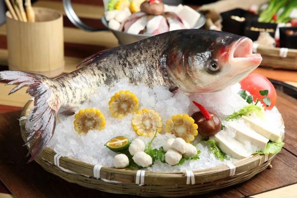 吃鱼最好别超过这个量! 吃鱼最好别超过这个量!