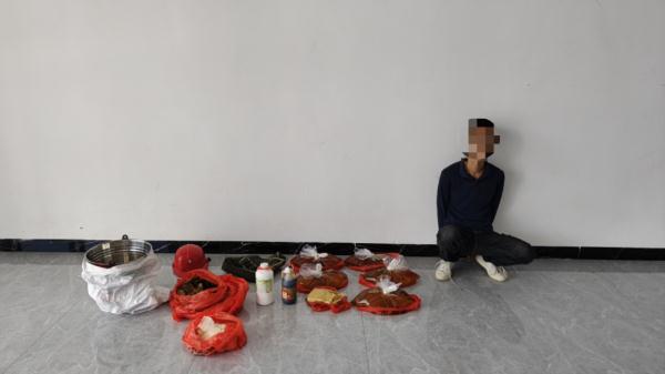 假的、假的!说好的“野生蜂蜜”竟是..... 假的、假的!说好的“野生蜂蜜”竟是.....