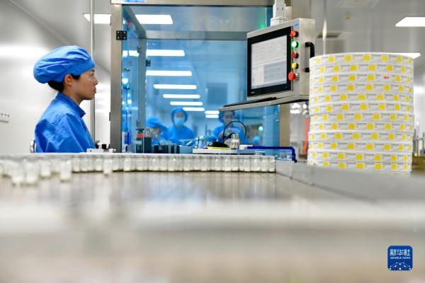 山东定陶：构建特色产业体系助推经济高质量发展