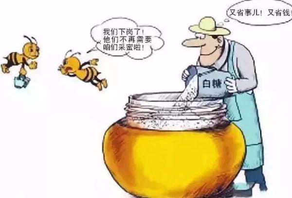假的、假的!说好的“野生蜂蜜”竟是..... 假的、假的!说好的“野生蜂蜜”竟是.....