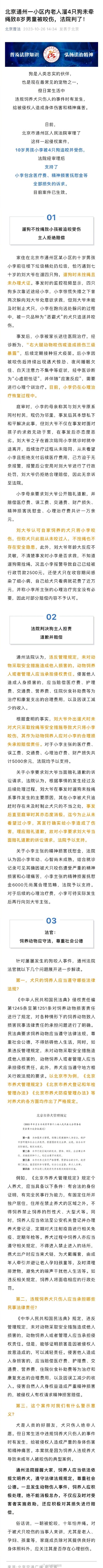老人遛4只狗未牵绳致10岁男童被咬伤 老人遛4只狗未牵绳致10岁男童被咬伤