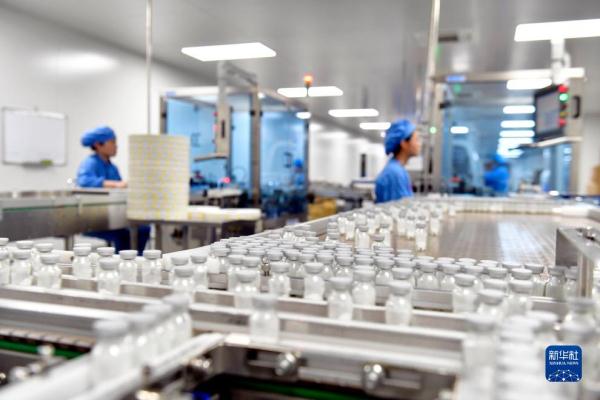 山东定陶：构建特色产业体系助推经济高质量发展