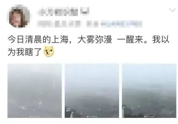 天天乱穿衣，10月的上海越来越热……冷空气还要“摆烂”多久？