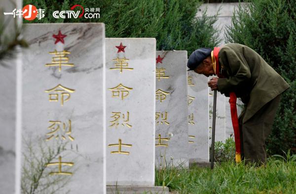 烈士陵园的树,长着“五角星” 烈士陵园的树,长着“五角星”