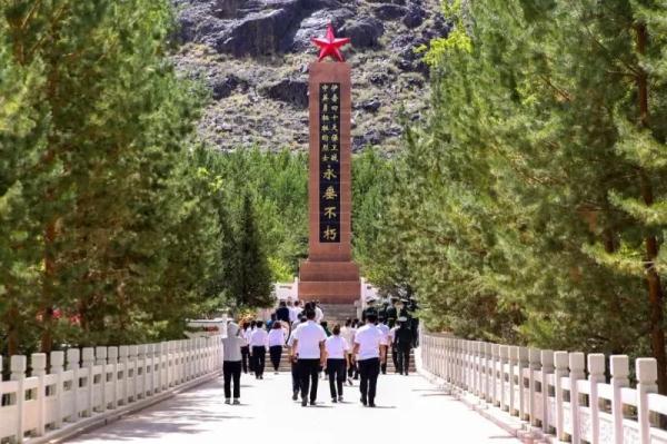 烈士陵园的树,长着“五角星” 烈士陵园的树,长着“五角星”