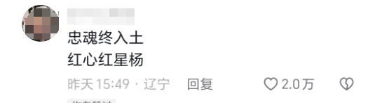 烈士陵园的树,长着“五角星” 烈士陵园的树,长着“五角星”