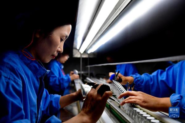 山东定陶：构建特色产业体系助推经济高质量发展