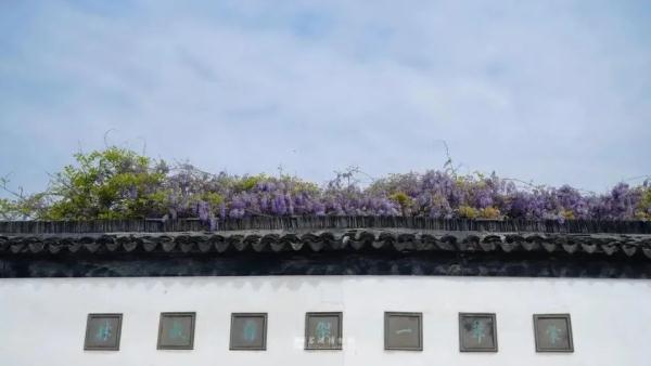 明起开售！网友：让我买到一次吧！