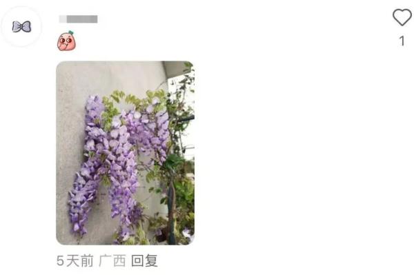 明起开售！网友：让我买到一次吧！