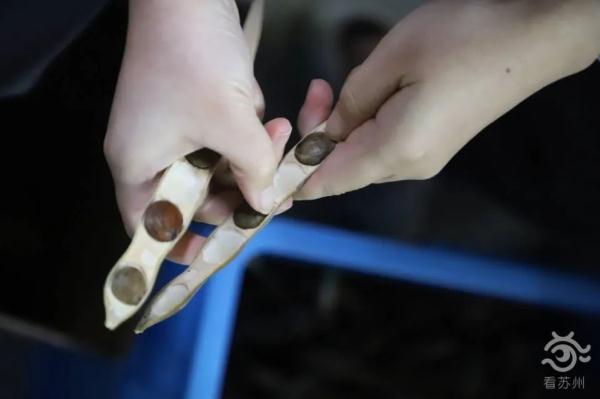 明起开售！网友：让我买到一次吧！