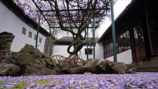 明起开售！网友：让我买到一次吧！