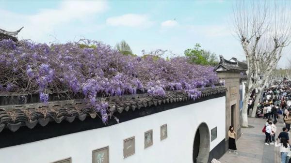 明起开售！网友：让我买到一次吧！