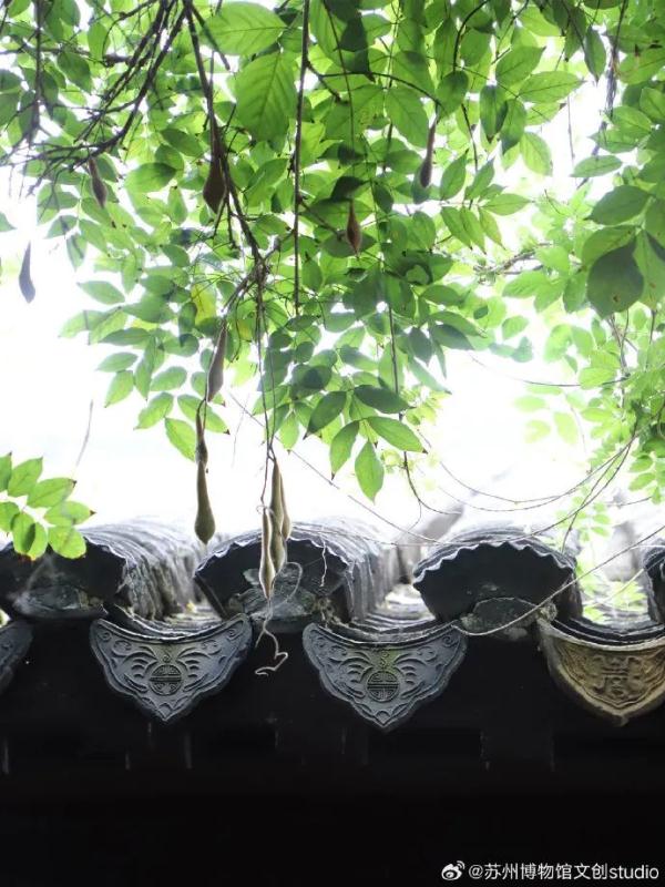 明起开售！网友：让我买到一次吧！