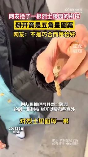 新疆这个烈士陵园的树，长着“五角星”