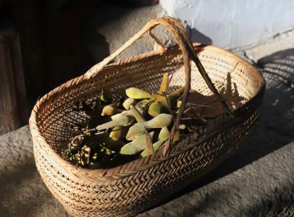 明起开售！网友：让我买到一次吧！