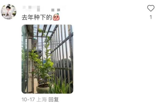 明起开售！网友：让我买到一次吧！