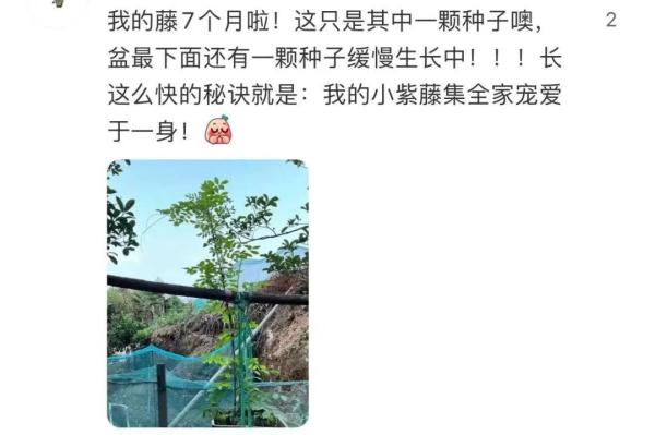 明起开售！网友：让我买到一次吧！