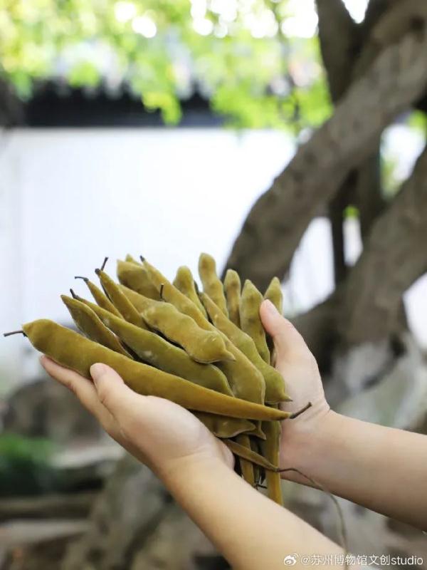 明起开售！网友：让我买到一次吧！