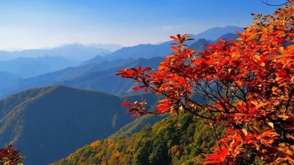 明日晴好天气持续  3-5日有降温吹风天气
