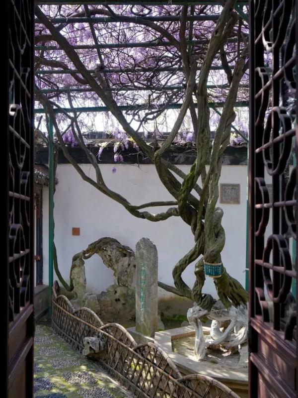 明起开售！网友：让我买到一次吧！