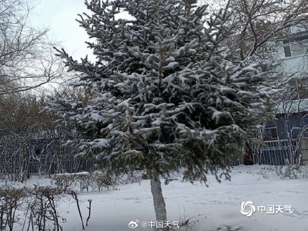 下雪啦！ 这才是北方冬天的正确打开方式