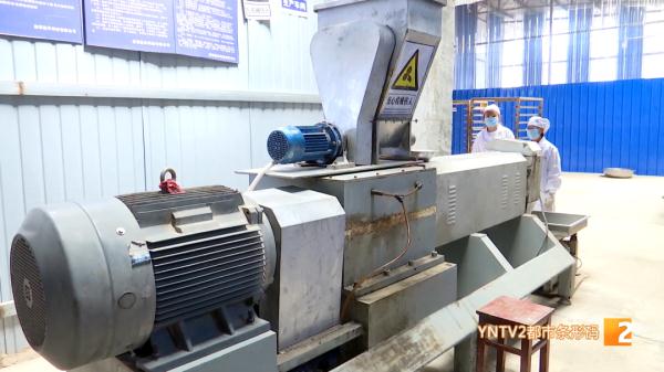 红嘴鸥大部队即将到昆，鸥粮开始生产欢迎“老朋友”！