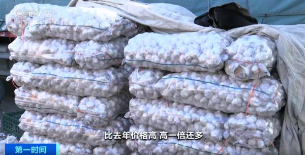 上涨超55%！几乎家家厨房必备，最近售价如何？