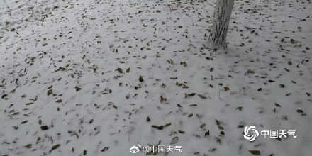 下雪啦！ 这才是北方冬天的正确打开方式