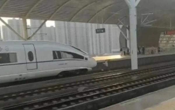 女子跳下站台被列车撞伤，铁路部门通报→