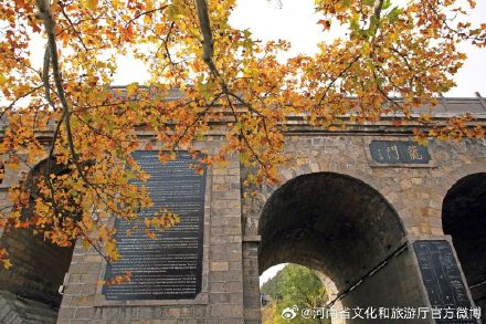 龙门石窟：“美拉德”氛围感拉满