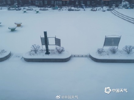 下雪啦！ 这才是北方冬天的正确打开方式