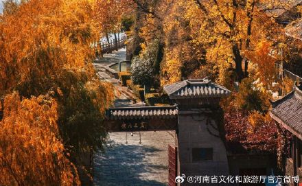 龙门石窟：“美拉德”氛围感拉满