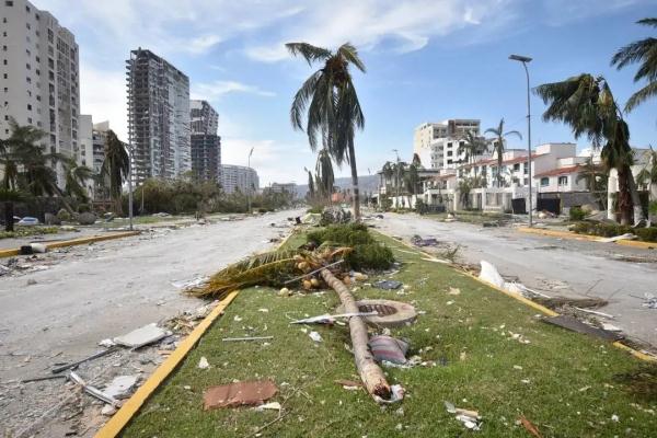 至少48人死亡！这里出现抢劫行为