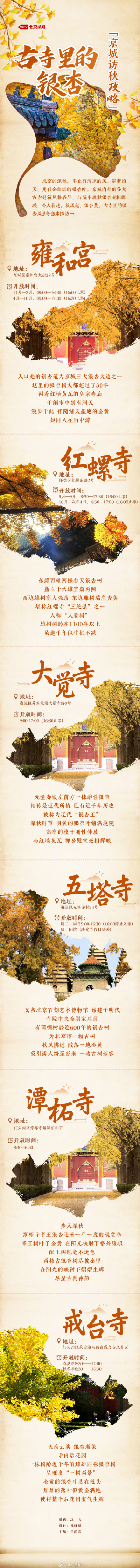 图鉴 | 银杏步道、银杏王、夫妻银杏树……TA 们原来藏身于这些古寺