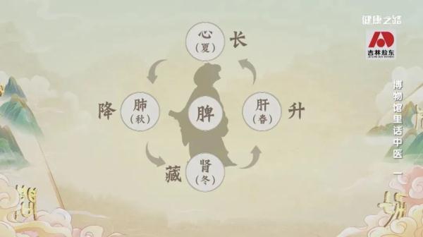 奇妙！陶寺圭尺、全天星图、内景图，这三件文物和中医有啥关联？