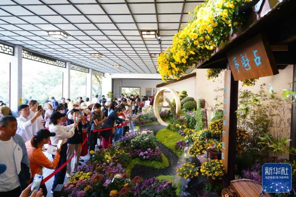 浙江杭州:菊花展秋韵 浙江杭州:菊花展秋韵