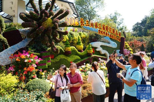 浙江杭州:菊花展秋韵 浙江杭州:菊花展秋韵