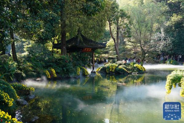 浙江杭州:菊花展秋韵 浙江杭州:菊花展秋韵