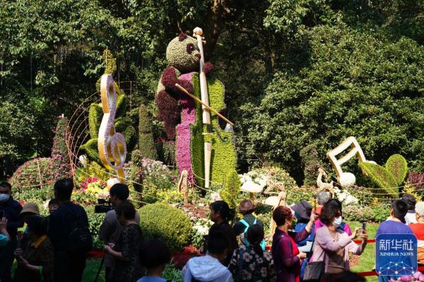 浙江杭州:菊花展秋韵 浙江杭州:菊花展秋韵